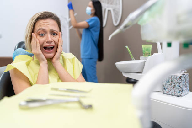 Best Emergency Dental Care for Broken or Chipped Teeth in Wolfhurst, OH